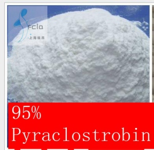 95% Pyraclostrobin Tc Strong Translaminar Properties, Broad Spectrum