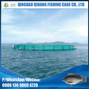 Factory HDPE Pisciculture Fish Farming Cage Floating