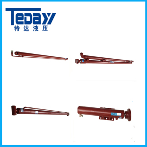 Hot Hydraulic Cylinder for Crane with Factory Price