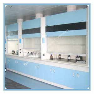 Factory Lab Exhaust Fume Hood for Pharmaceutical (HL-TFG043)