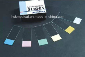 Color Microscope Slides -7109