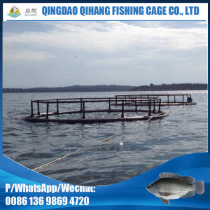 HDPE Sea Fish Farming Cage Marine Fisheries Cages