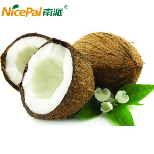 Pure Natural/Green Food/Good Taste Coconut Cream Powder